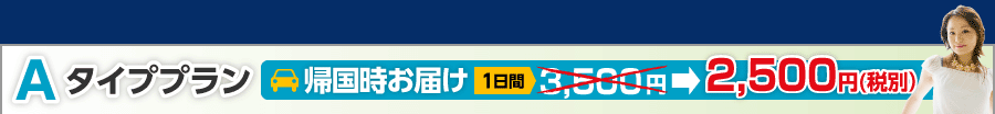 Aタイププラン